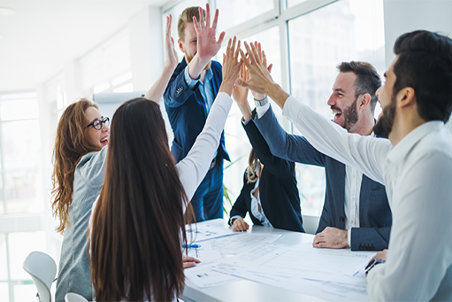 Our Team and DISC Methodology